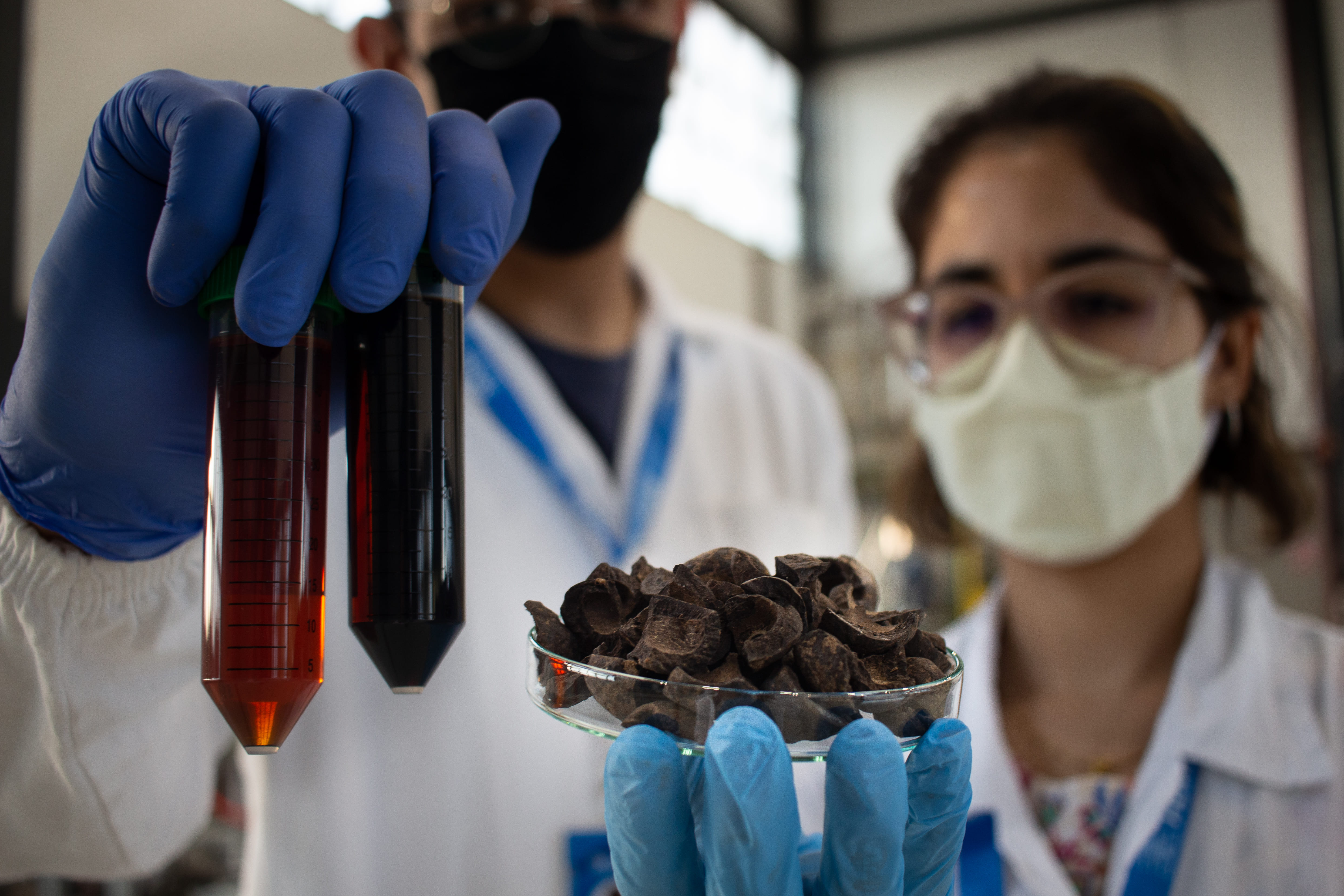 Registro da indústria de Mato Grosso do Sul 16
