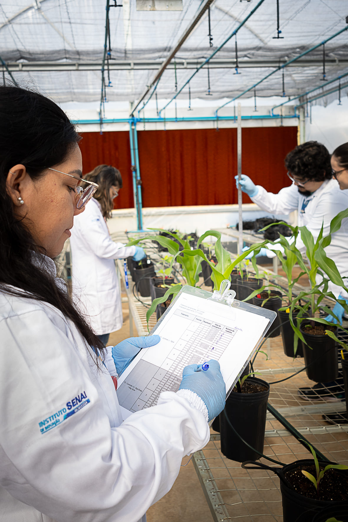 Registro da indústria de Mato Grosso do Sul 13